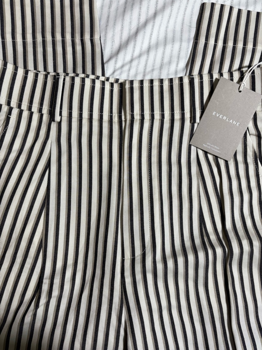Everlane NWT Way High Taper Pant Vertical Stripes Size 10